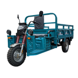 3W2S Electric cargo tricycle